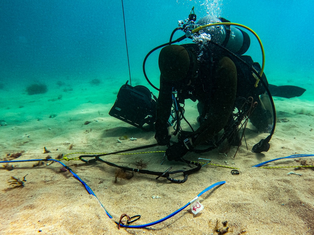 DVIDS - Images - Beach Crab 24 | Underwater Explosive Ordnance [Image ...