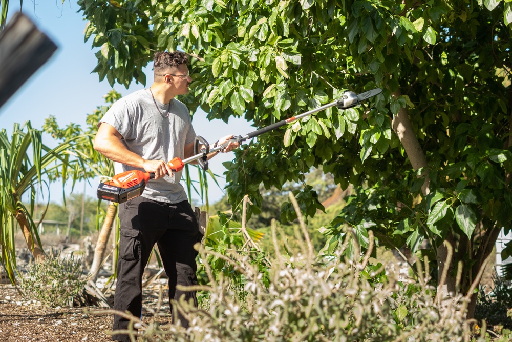 Helping Hands Preserve and Protect: PRTF Staff Remove Invasive Trees at Kalaeloa Heritage Park