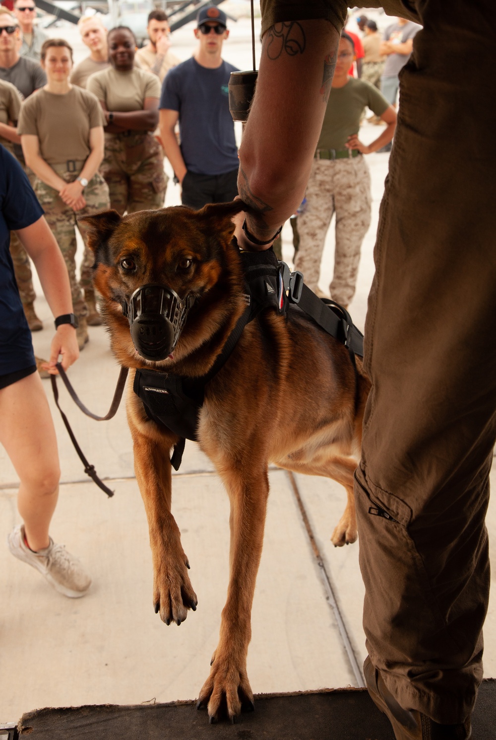 Canine Casualty Care takes Flight