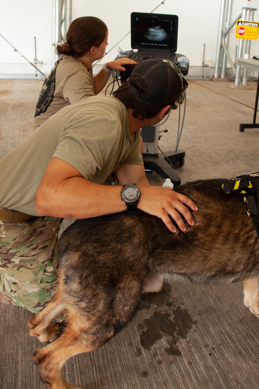 Canine Casualty Care takes Flight