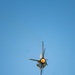 The U.S. Air Force F-16 Viper Demonstration Team performs at the Beyond the Horizon Air and Space Show 2024