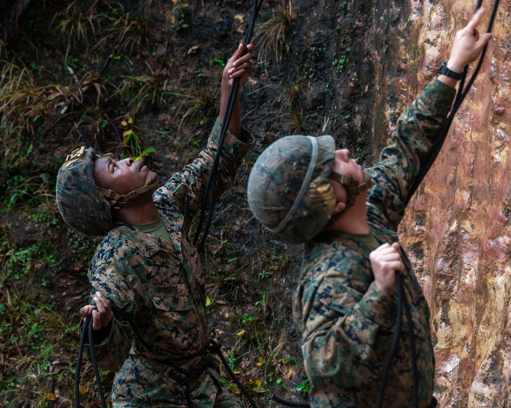 Marines with III Marine Expeditionary Force participate in Basic Jungle Skills Course