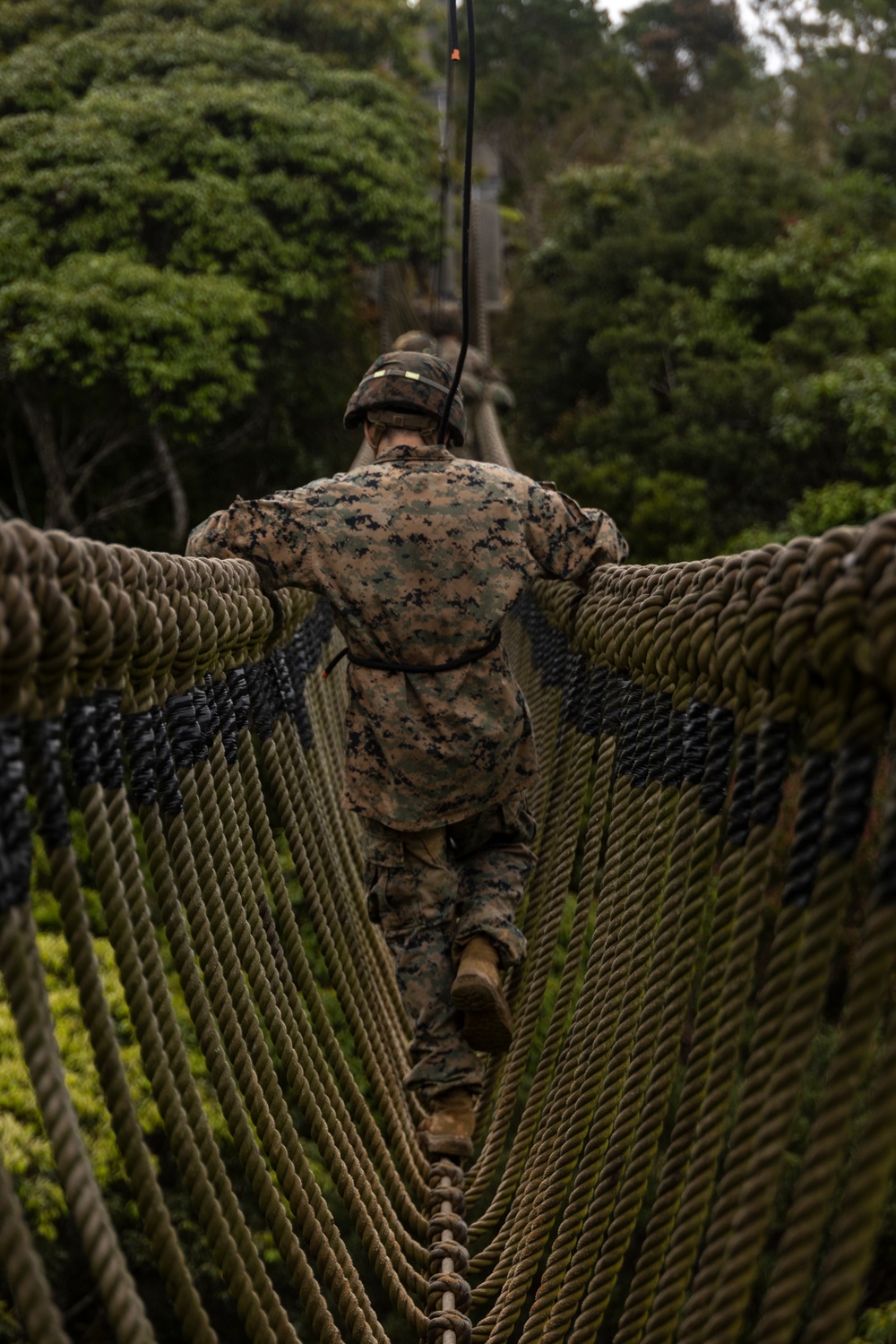 Marines with III Marine Expeditionary Force participate in Basic Jungle Skills Course