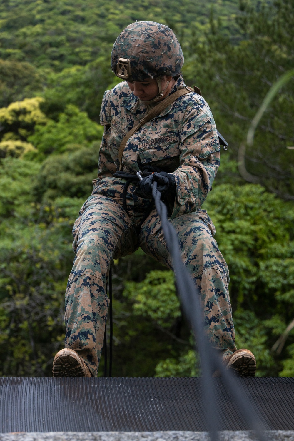 Marines with III Marine Expeditionary Force participate in Basic Jungle Skills Course