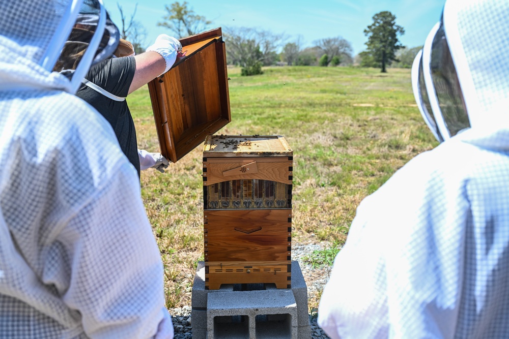 Herk Honey Bees meet Team Little Rock leadership