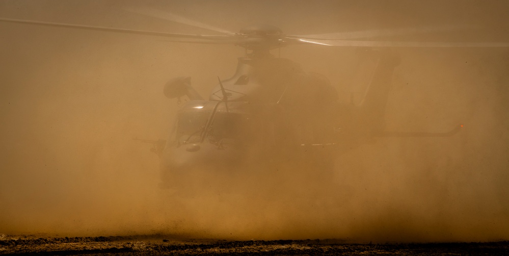 Grey Wolf gets dirty in austere landing tests