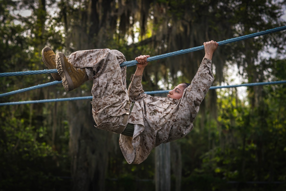 November Company Confidence Course