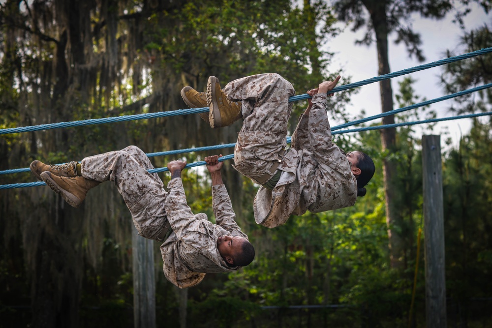 November Company Confidence Course