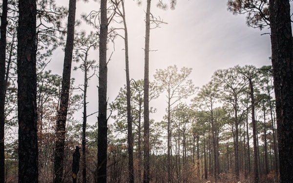 110th SF troop movement training