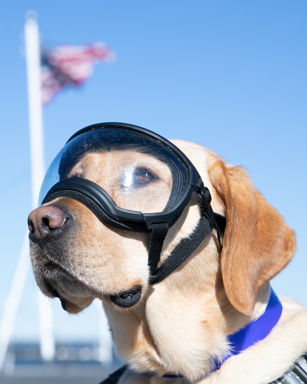 Sage wears Goggles on the Flight Deck aboard USS Gerald R. Ford (CVN 78)