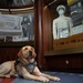Sage visits the Tribute Room aboard USS Gerald R. Ford (CVN 78)