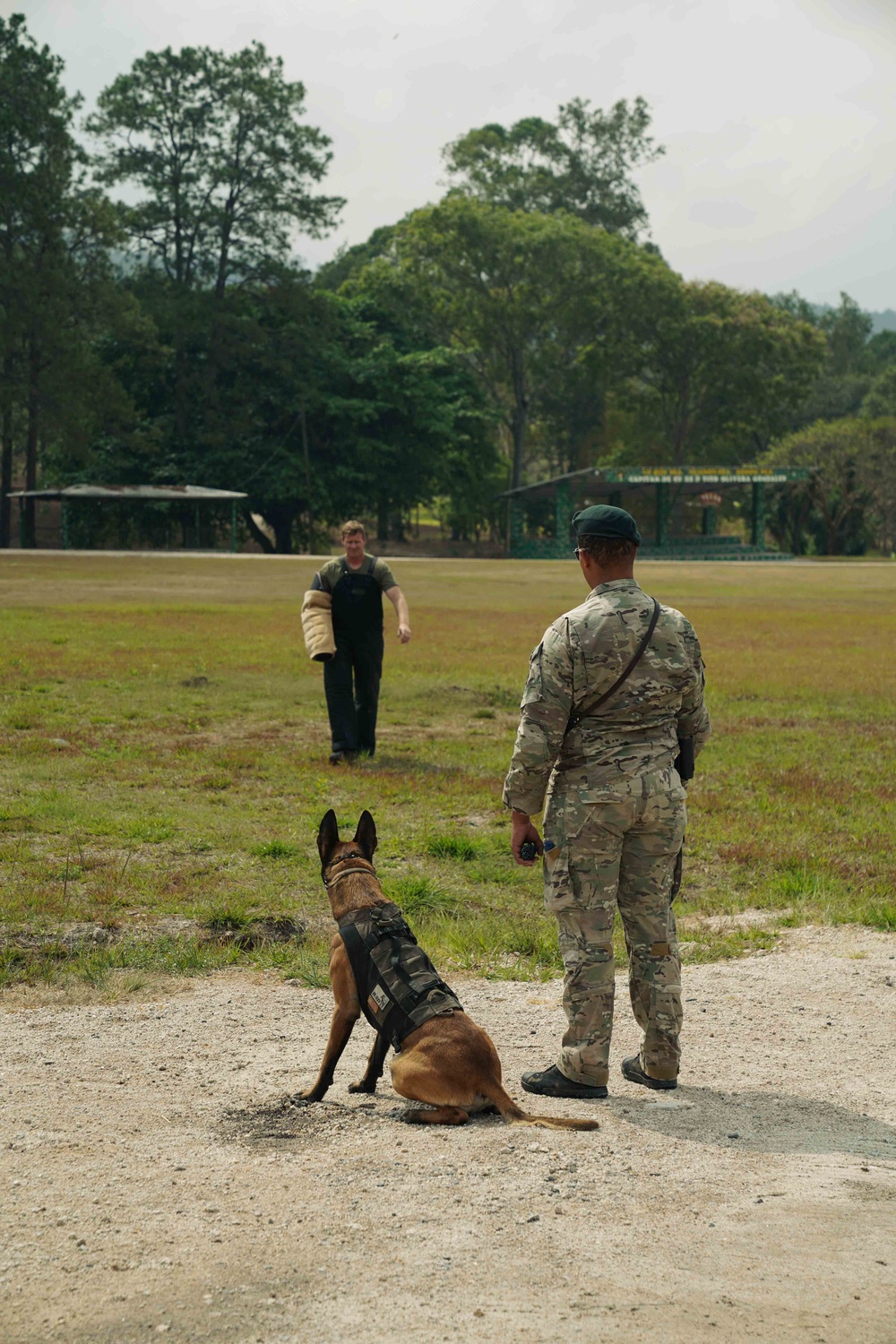 DVIDS - Images - 7th Special Forces Group conducts training with ...