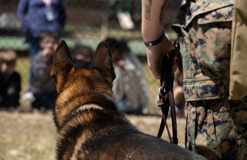 Military Working Dog Demonstration