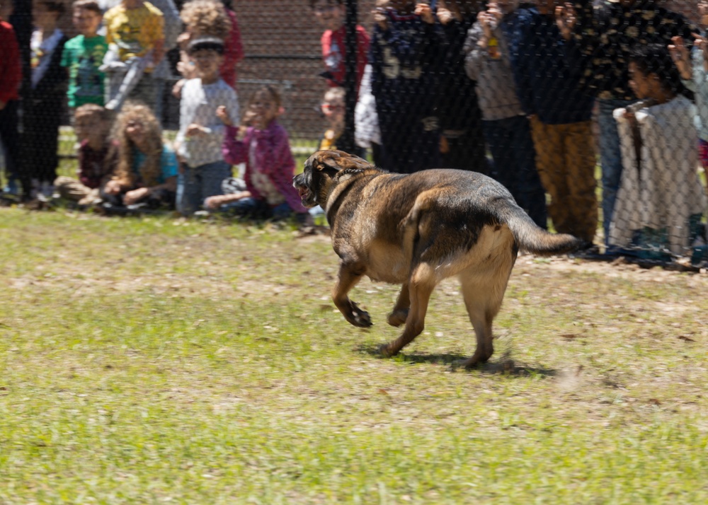 Military Working Dog Demonstration