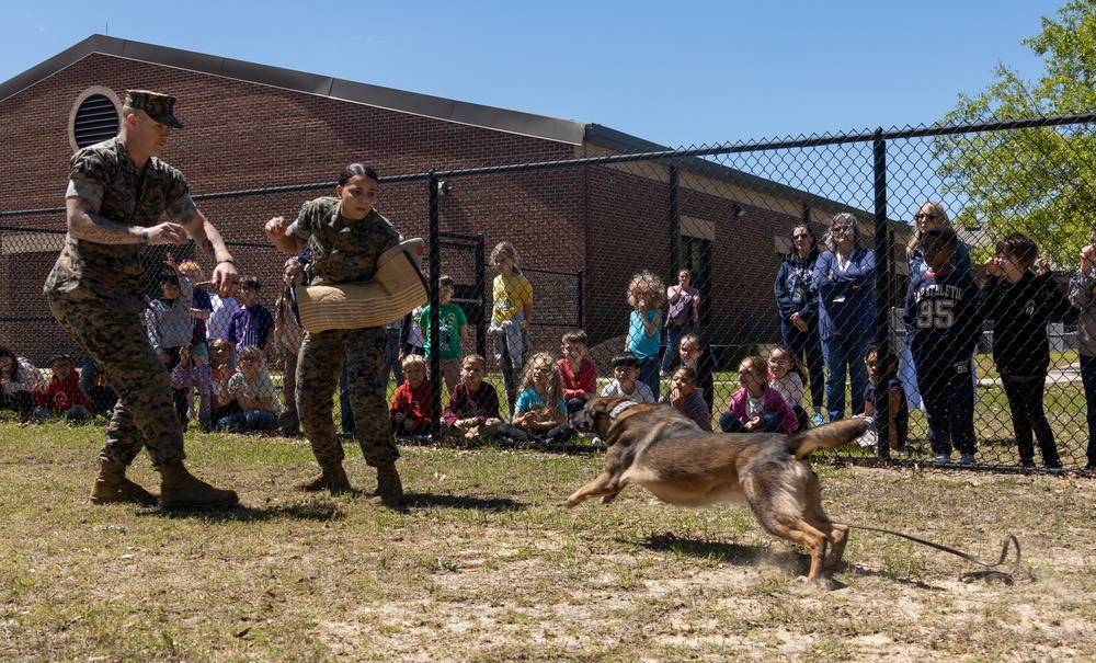 Military Working Dog Demonstration