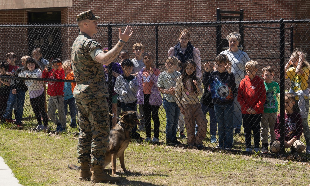 Military Working Dog Demonstration