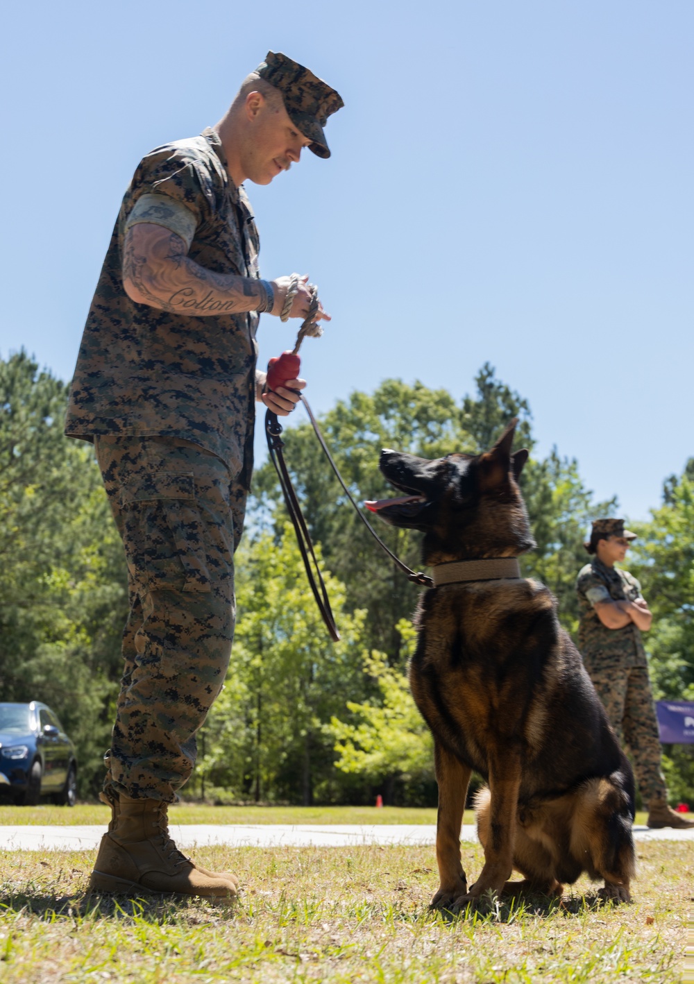 Military Working Dog Demonstration