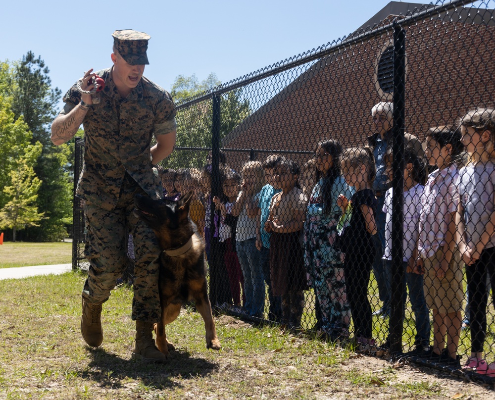 Military Working Dog Demonstration