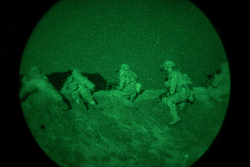 Dvids - Images - Night Calfex 2024 [image 3 Of 16]