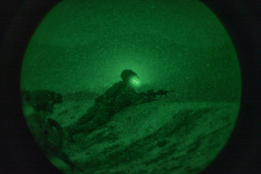 Dvids - Images - Night Calfex 2024 [image 13 Of 16]