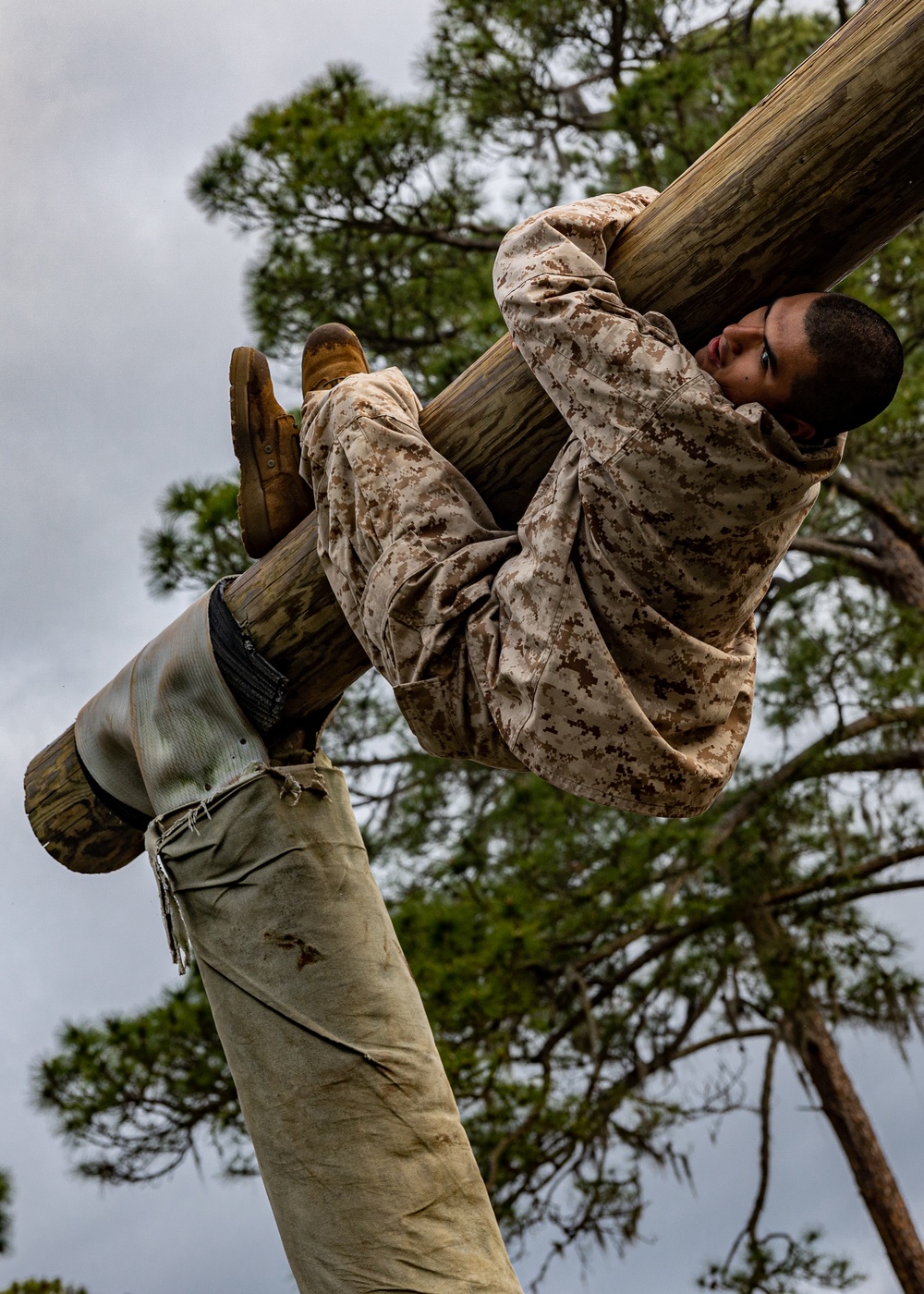 November Company Confidence Course