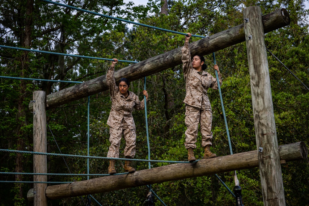 November Company Confidence Course