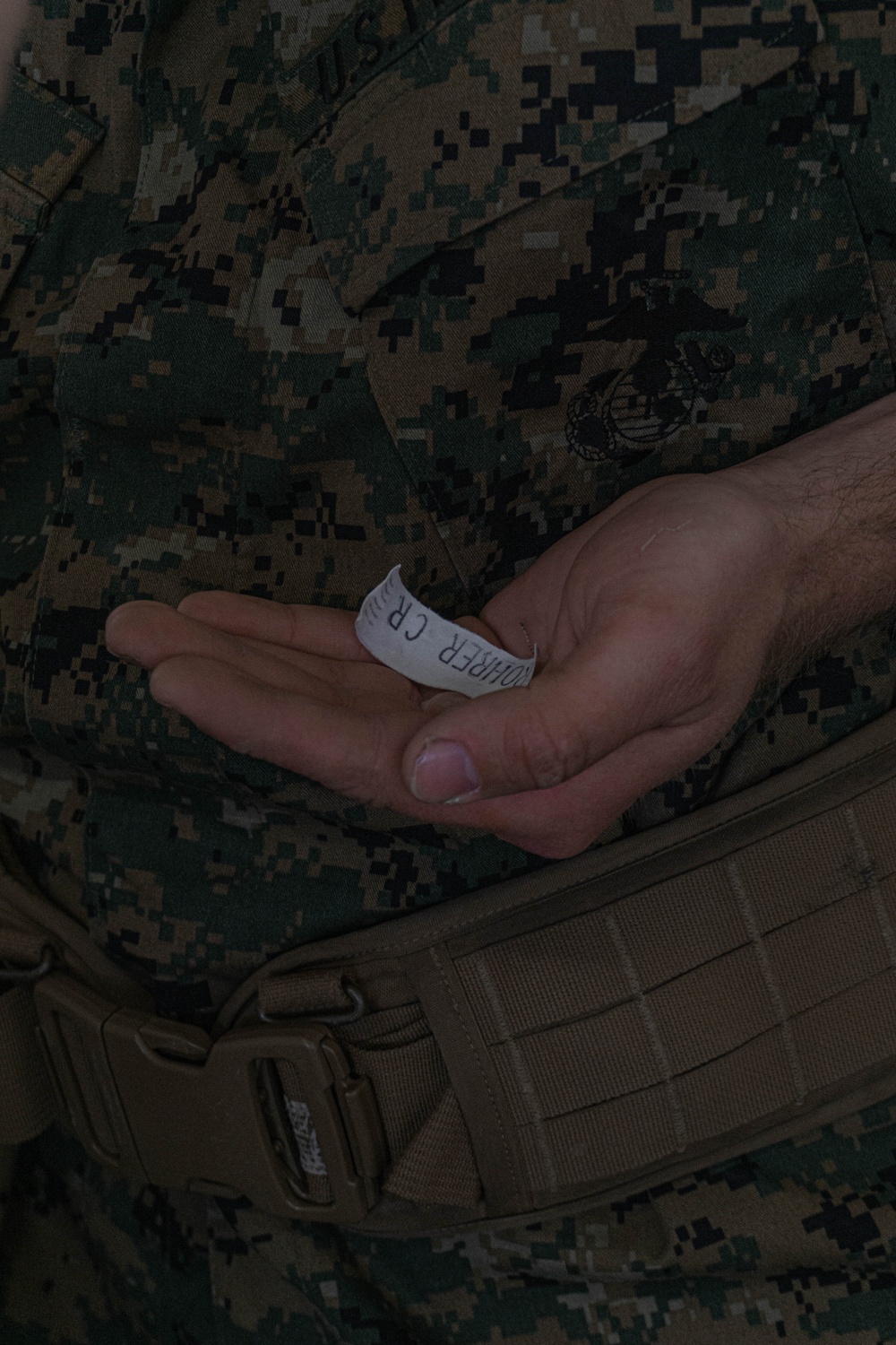 Charlie Company Series Commander Inspection
