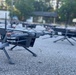 Marne Focus 2024 drone swarm