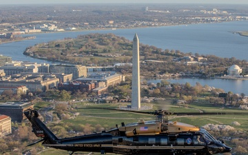 12th Aviation Battalion Flies Over Washington, D.C. During Peak Cherry Blossom Bloom