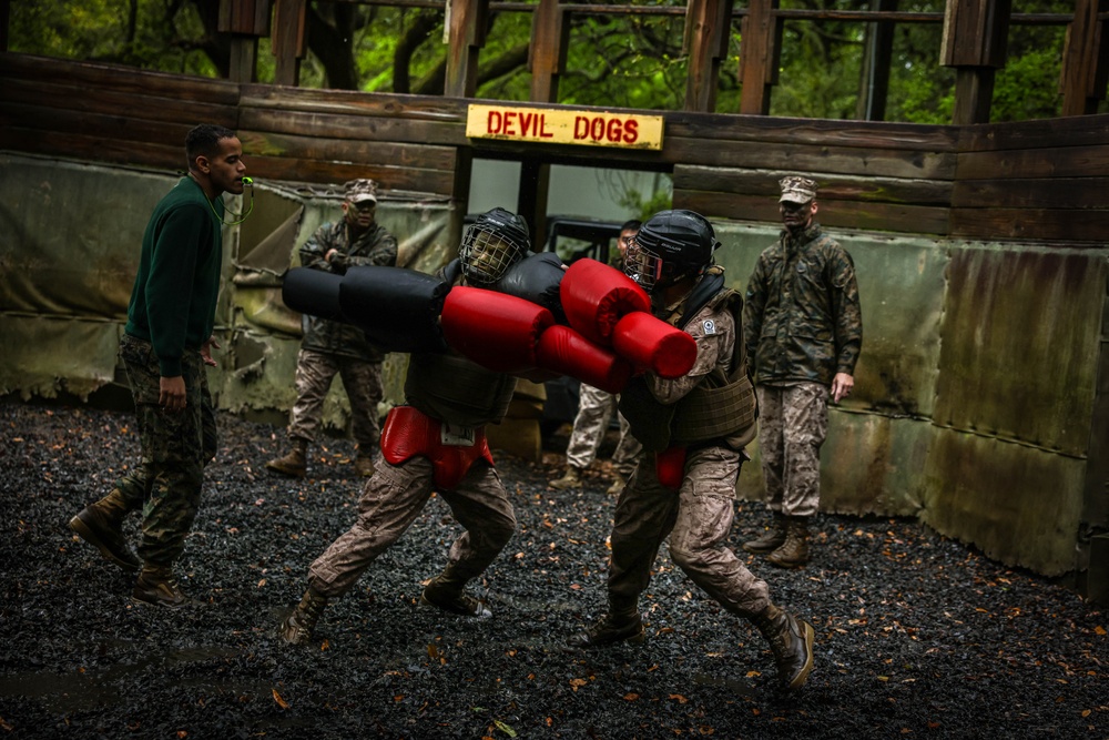 Delta Company Crucible