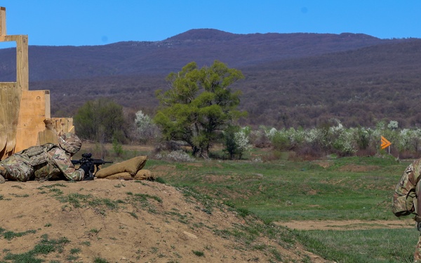 Taskforce Nightmare M4 Range
