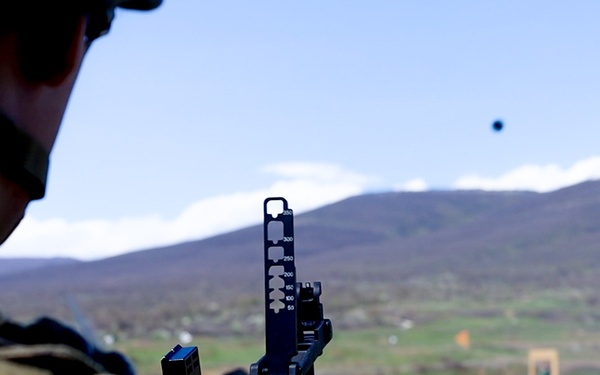 Taskforce Nightmare M320 Range