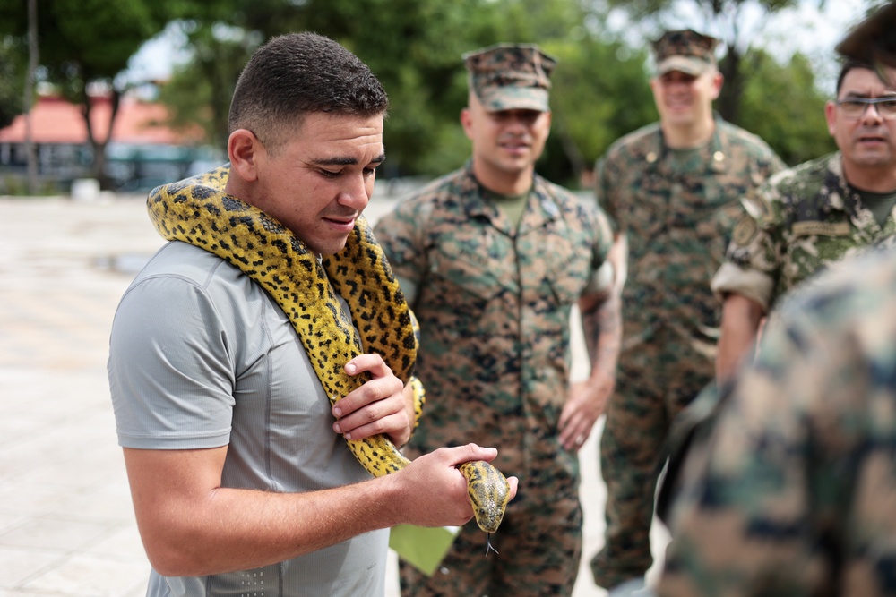 Infantería de Marina de Armada Paraguay hosts U.S. Marines for planning conference