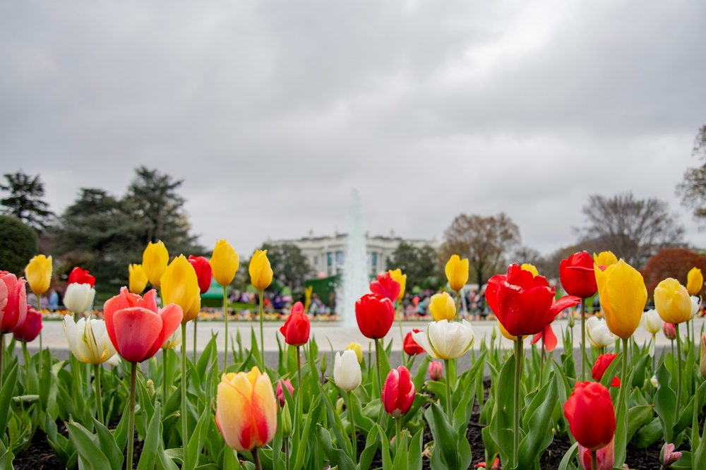 Ohio Air National Guard children invited to attend White House Egg Roll