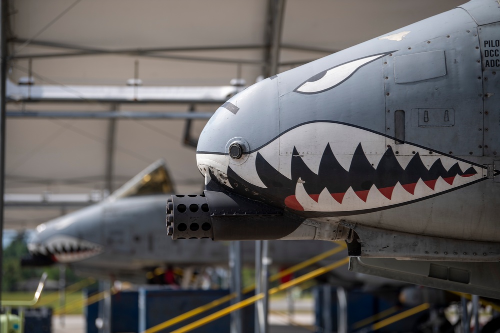 Moody A-10s depart for RT 24-1