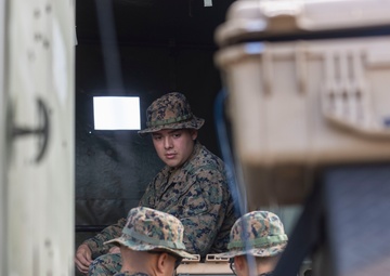 Radio Reconnaissance Hide and Seek | 3rd Radio Battalion