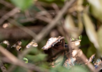 Radio Reconnaissance Pinpointing Signals | 3rd Radio Battalion