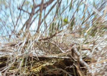 Radio Reconnaissance Pinpointing Signals | 3rd Radio Battalion