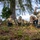 3rd AEW Airmen build Tinian FOS during Exercise Agile Reaper 24-1 3rd AEW Airmen build Tinian FOS during Exercise Agile Reaper 24-1