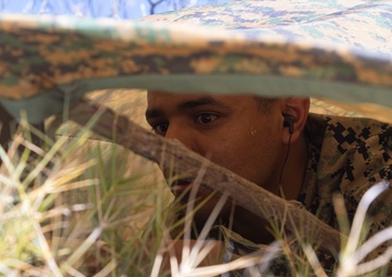 Seaside Signals and Communication| 3rd Radio Battalion