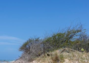 Seaside Signals and Communication| 3rd Radio Battalion
