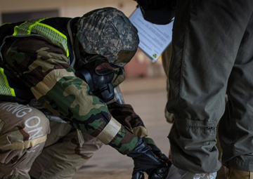 Exercise Raging Piasa