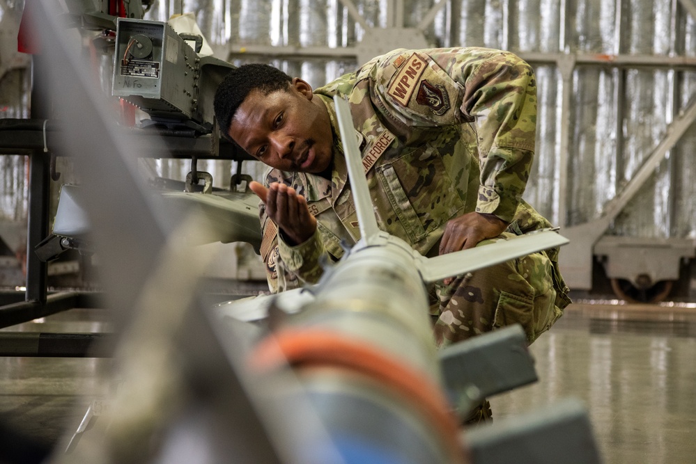 Wild Weasel Walk-Through, Weapons Section