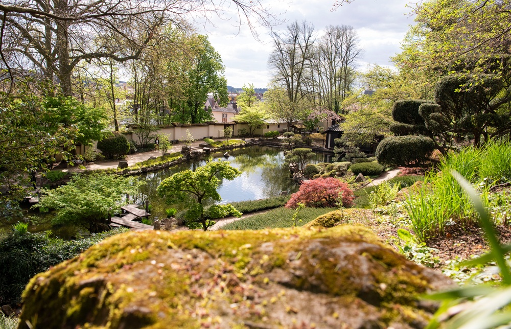 Springtime around the KMC