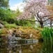 Springtime around the KMC
