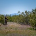 Reserve Citizen Airmen Train to be Ready Now: The Battlefield Does not Discriminate by Job