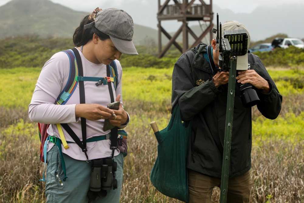 Owl Be Back: MCBH Environmental Team Employs Conservation Measures to Protect Hawaiian Pueo