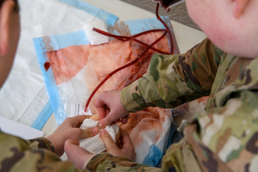 Multinational Tactical Combat Casualty Care training in Chièvres