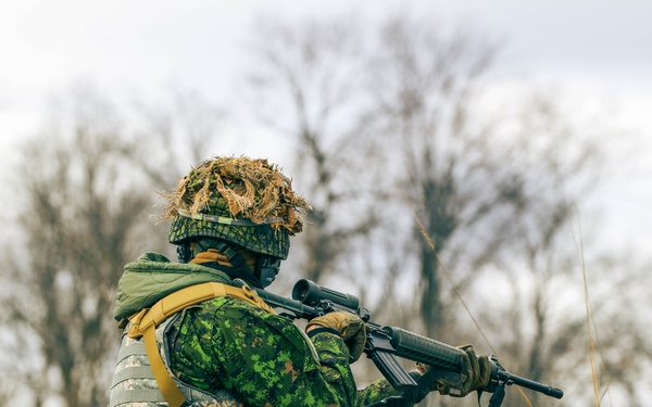 Canadian LSSR Conducts Live-Fire Events at Camp Ripley