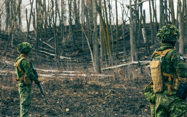 Canadian LSSR Conducts Live-Fire Events at Camp Ripley